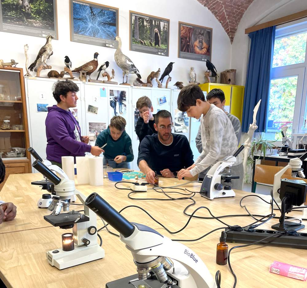 stem richting eerste graad